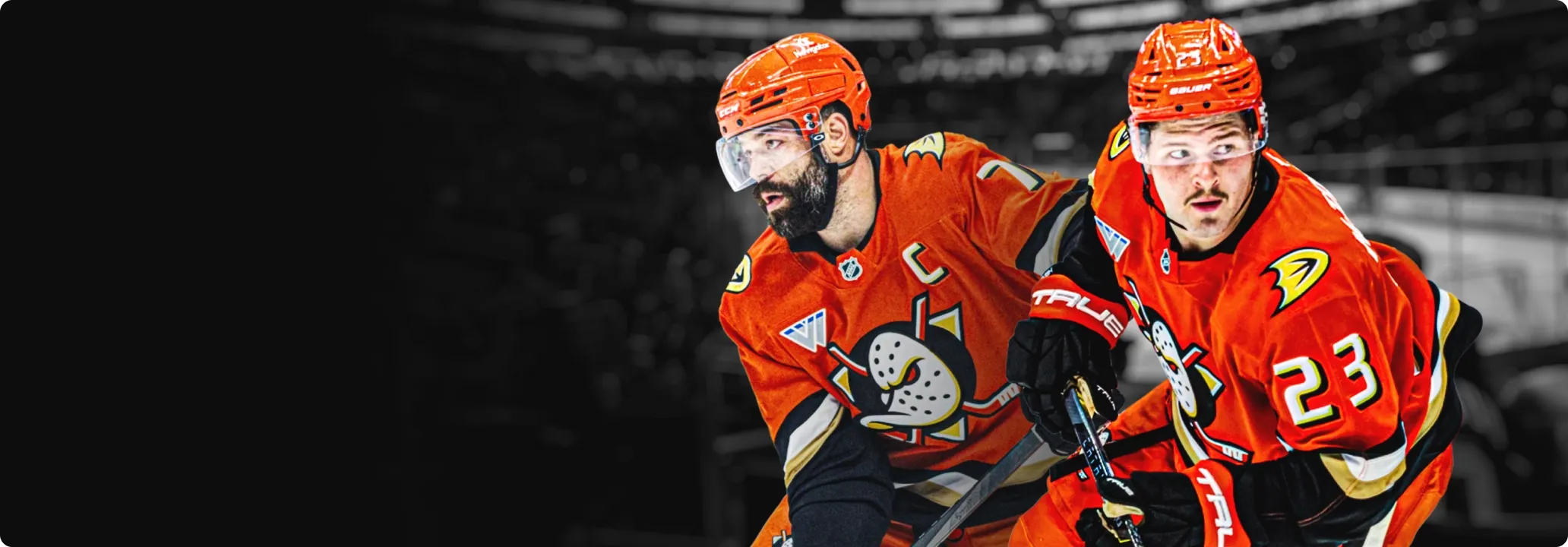 QUACK ATTACK—The Anaheim Ducks will return with live games next season background