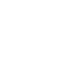 Dallas Stars Logo